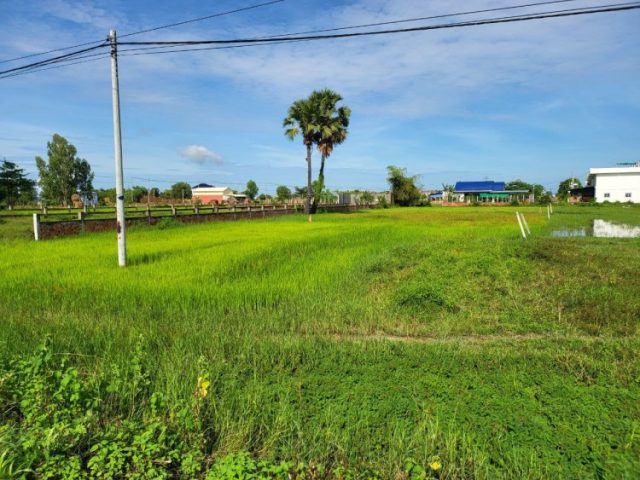 Land for sale in Kep 210$/m²