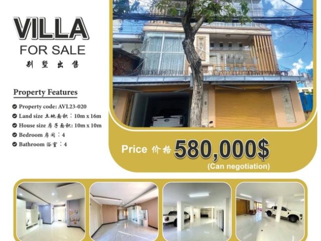 Villa for sale AVL23-020