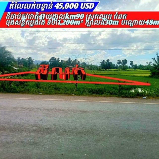 Land for sale in Kampot