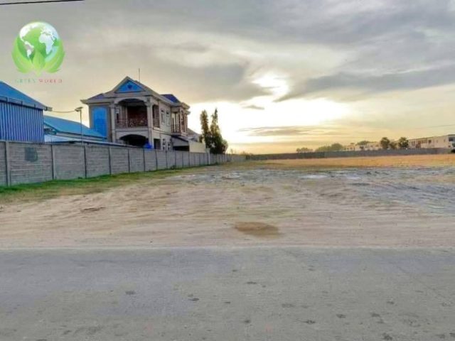 ដីលក់ជិតផ្លូវទំនប់កប់ស្រូវ