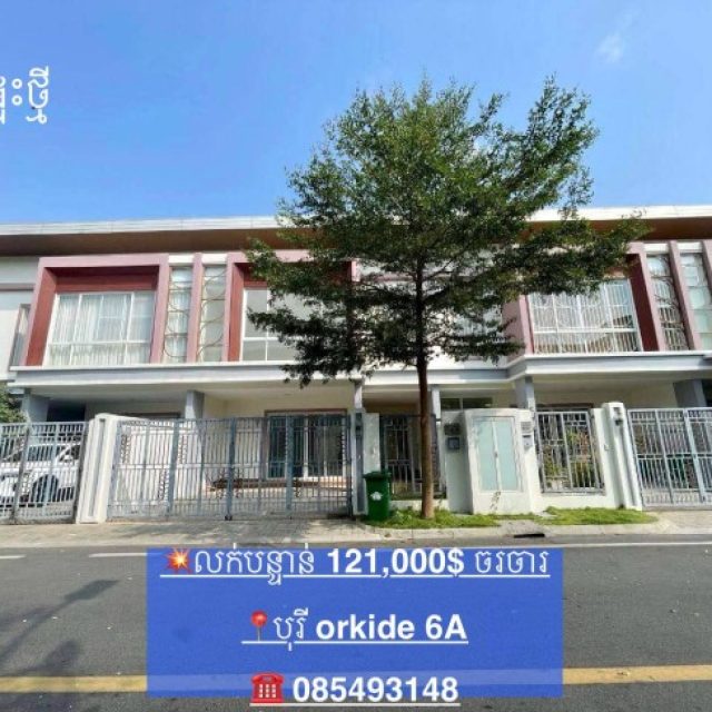 វីឡាកូនកាត់លក់បន្ទាន់