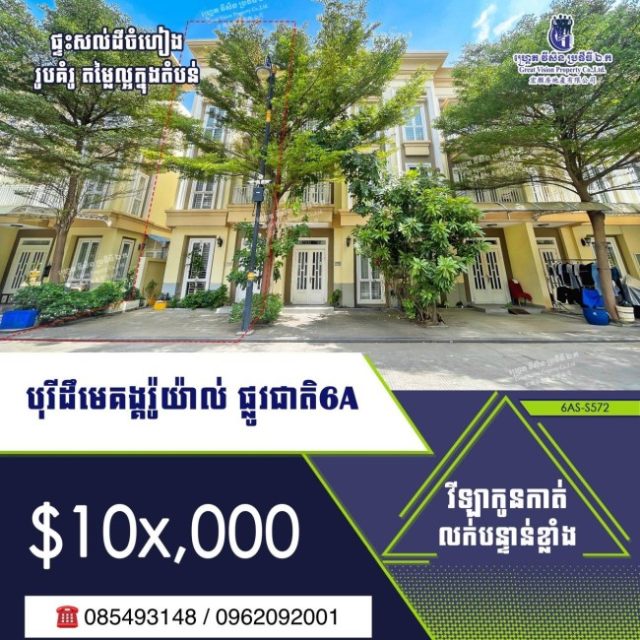 វីឡាកូនកាត់លក់