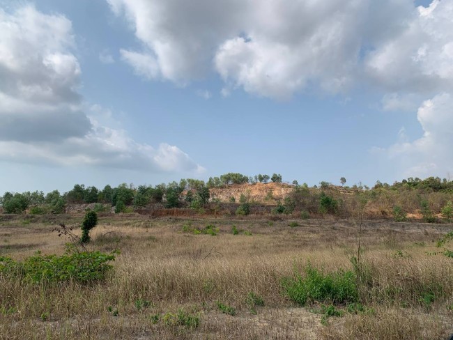 ដីចំការលក់នៅក្បែរផ្លូវសម្តេចសង្ឃទេពវង្យ