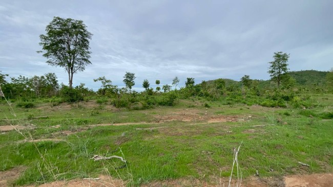ដីលក់_land_for_sale